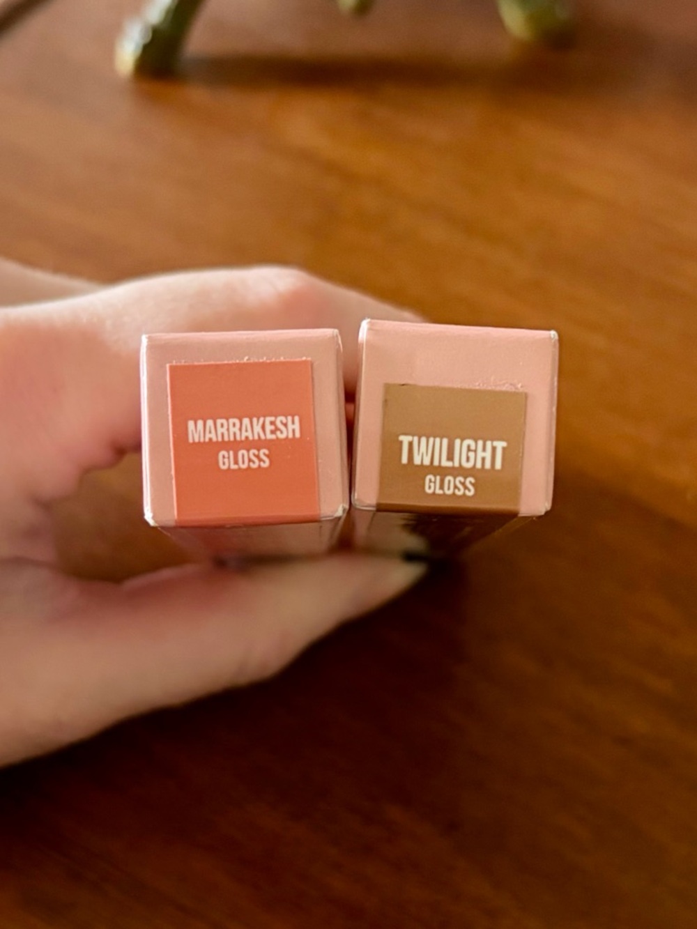 Persona Marrakesh and Twilight Lip Gloss